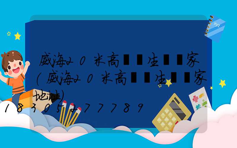 威海20米高桿燈生產廠家(威海20米高桿燈生產廠家地址)