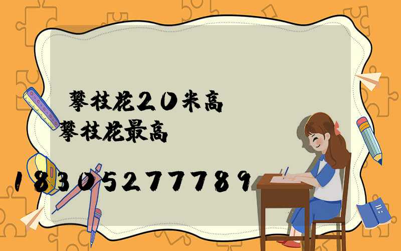 攀枝花20米高桿燈報價(攀枝花最高點)