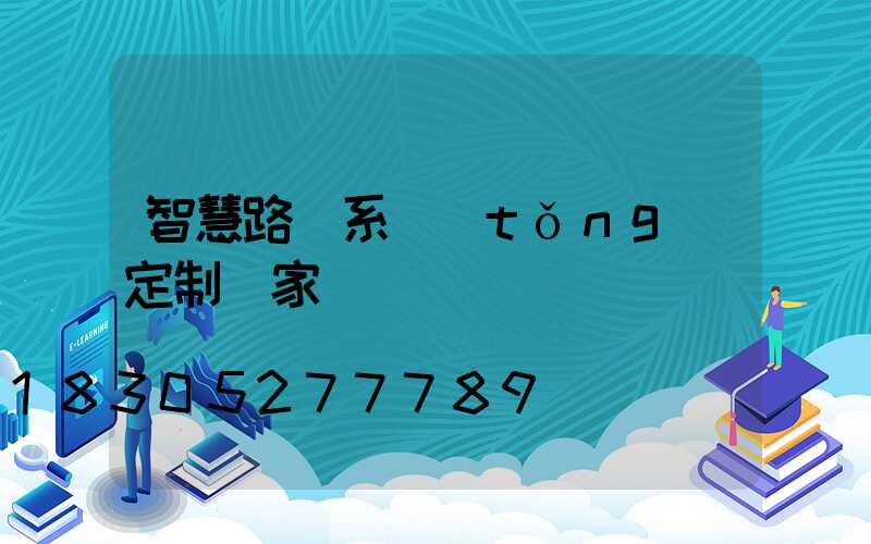 智慧路燈系統(tǒng)定制廠家