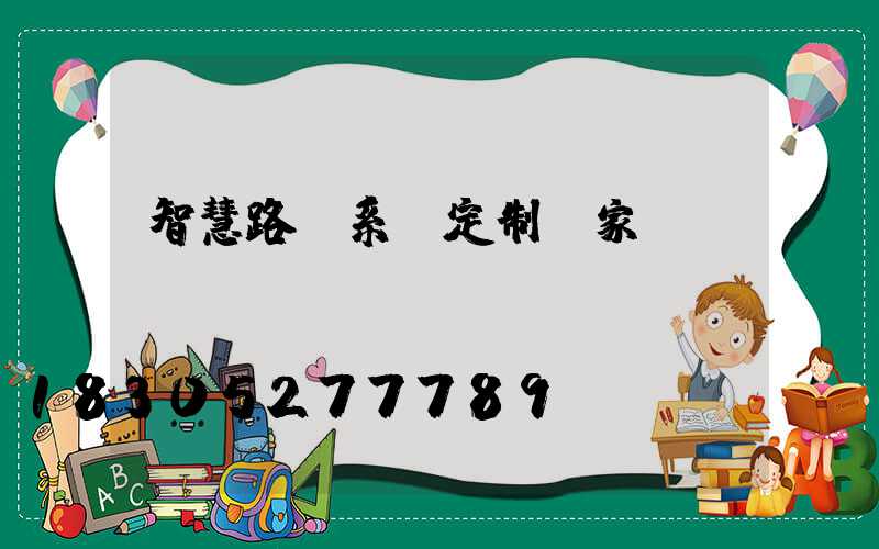 智慧路燈系統定制廠家