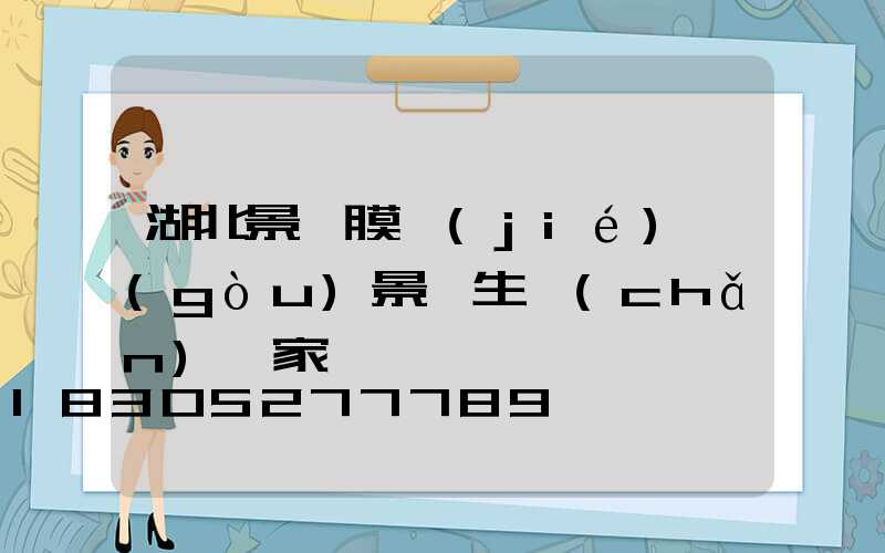 湖北景點膜結(jié)構(gòu)景觀生產(chǎn)廠家