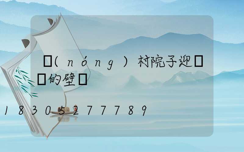 農(nóng)村院子迎門墻的壁畫